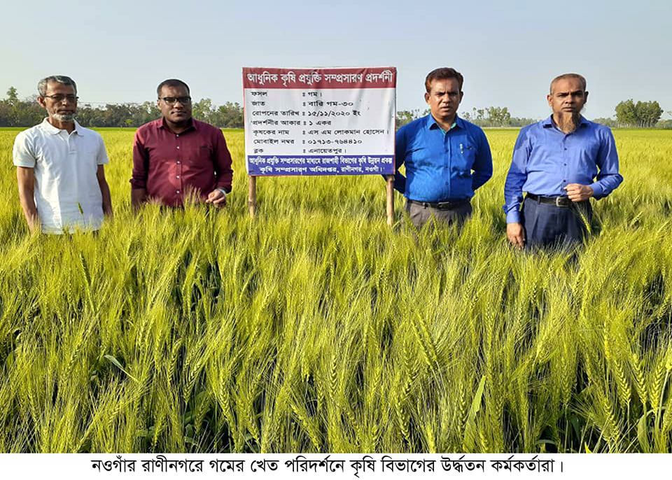 শীষে