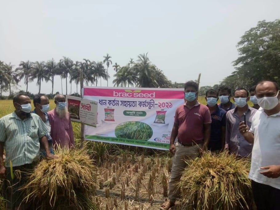 গোপালগঞ্জে ব্রাক সীড এন্ড এগ্রো এন্টারপ্রাইজের সহায়তায় ধান কর্তন কর্মসূচি -২০২১