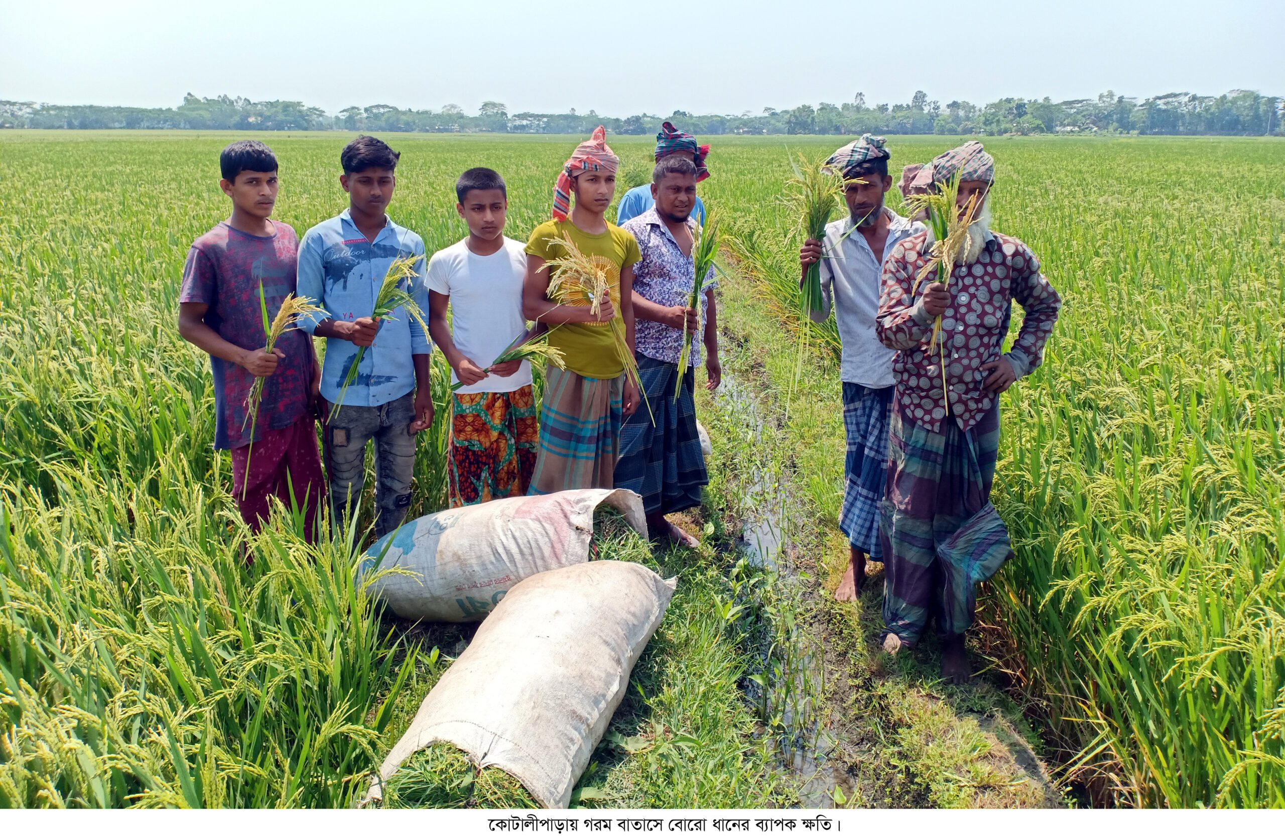 কৃষকের