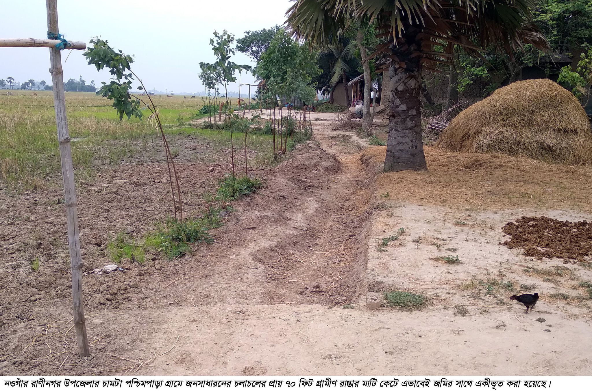 রাণীনগরে চলাচলের রাস্তা কেটে প্রতিবন্ধকতা সৃষ্টি দূর্ভোগে ১৫ পরিবার