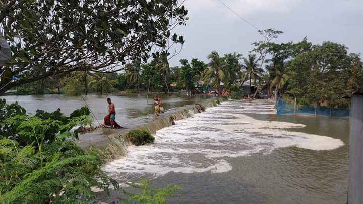 পানিতে